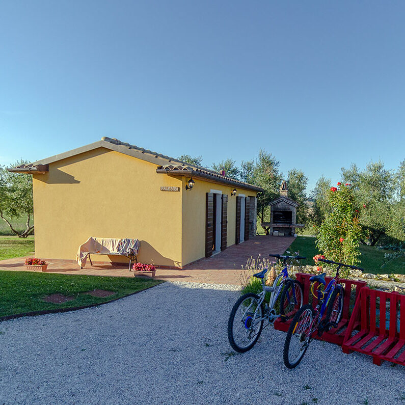 Servizi Tenuta Belvedere