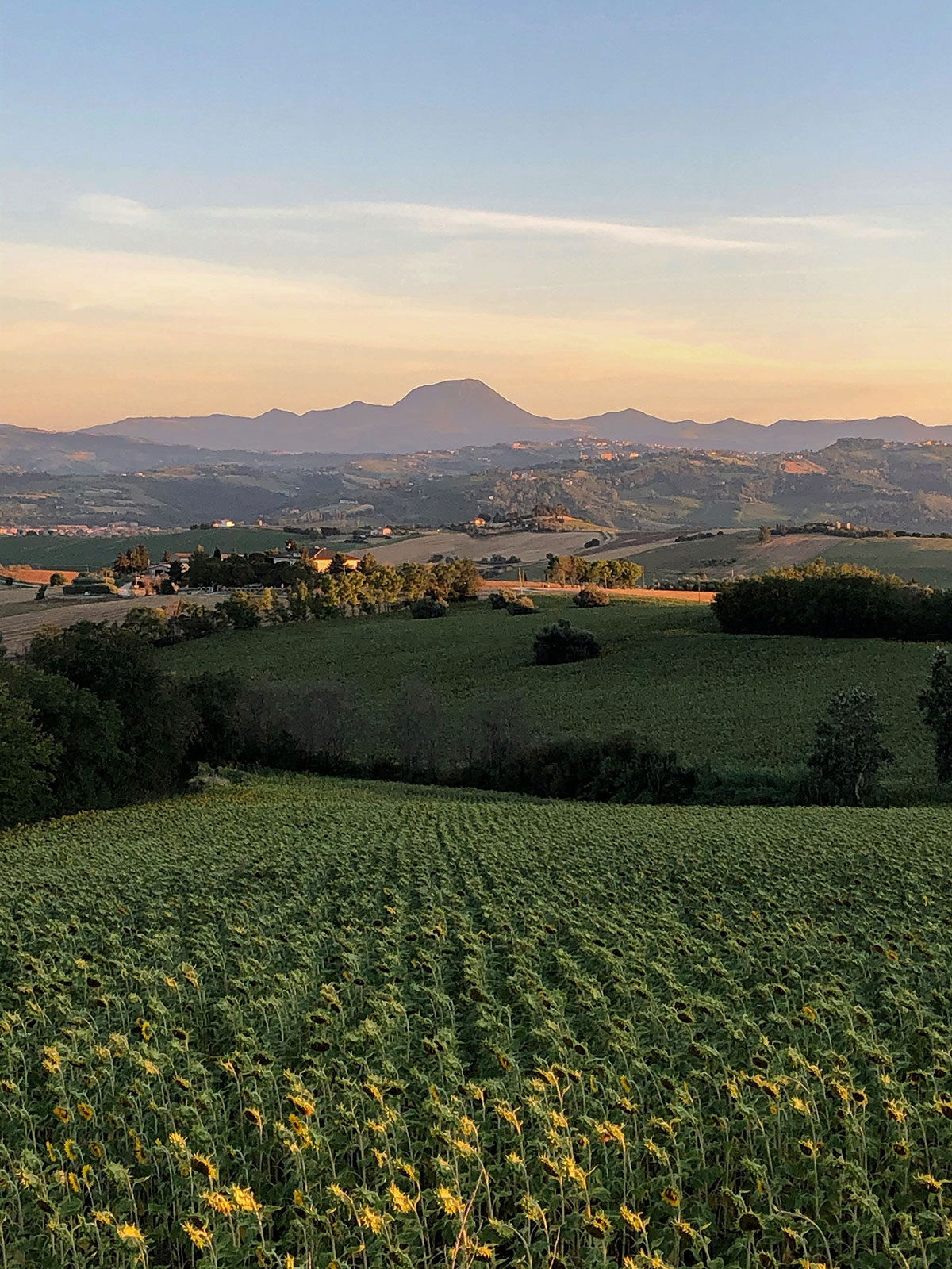 Paesaggio Tenuta Belvedere