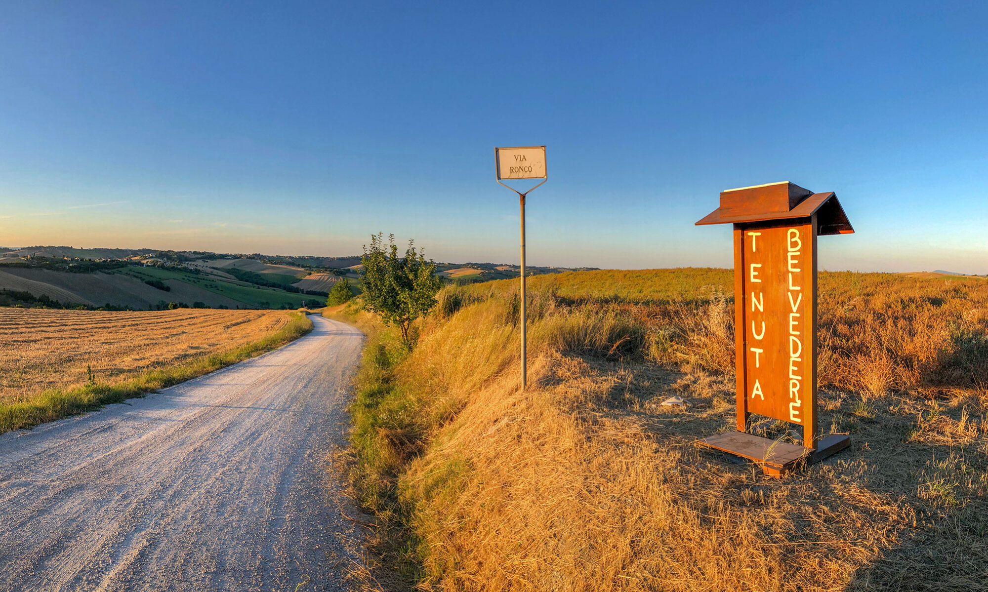Insegna Tenuta Belvedere