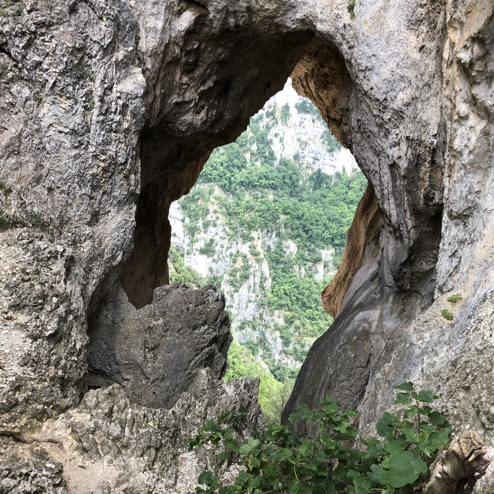 Foro degli Occhialoni